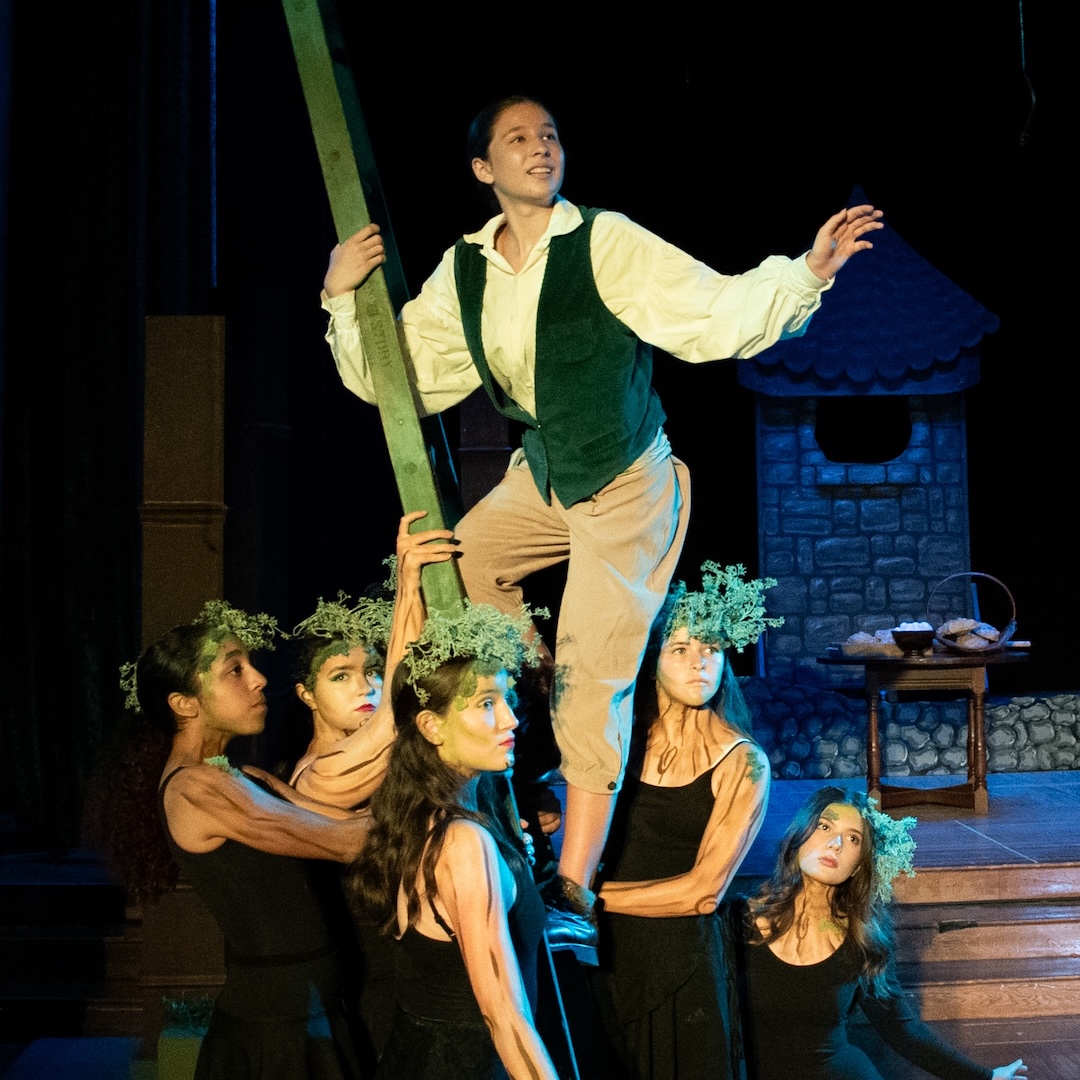 Into the Woods Jr with actors in fantasy costumes, one climbing a ladder.